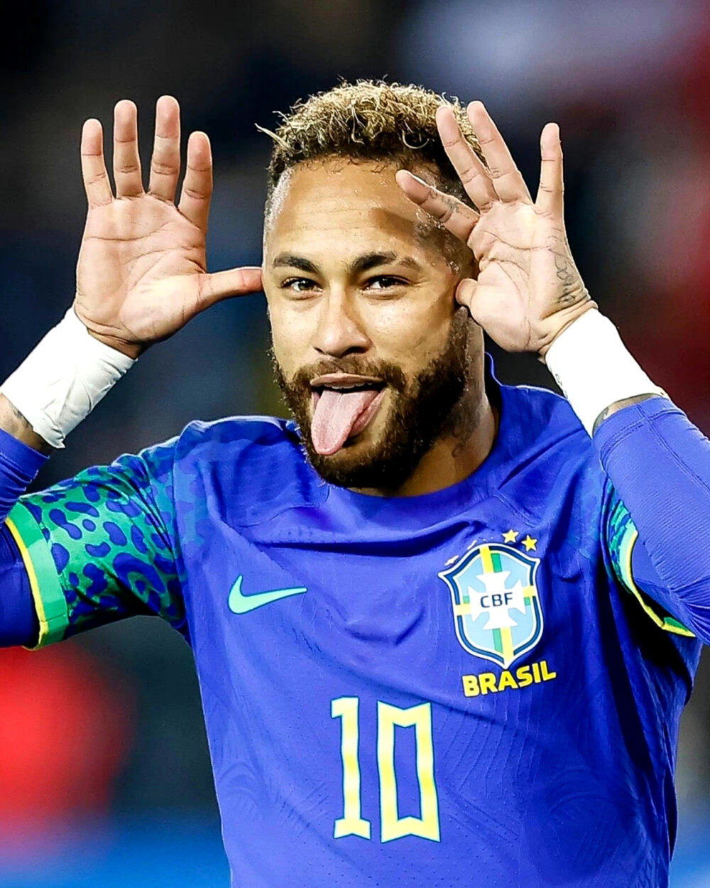 他的進步 他的進步